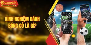 Kinh Nghiệm Đánh Bóng Cỏ Là Gì? Bí Quyết Thắng Lớn